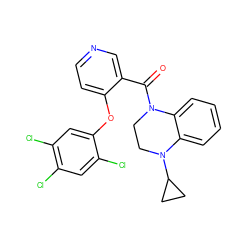 O=C(c1cnccc1Oc1cc(Cl)c(Cl)cc1Cl)N1CCN(C2CC2)c2ccccc21 ZINC000095578672