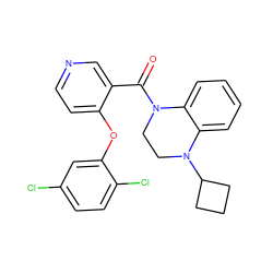 O=C(c1cnccc1Oc1cc(Cl)ccc1Cl)N1CCN(C2CCC2)c2ccccc21 ZINC000095577077