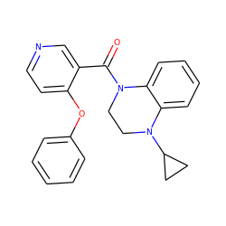 O=C(c1cnccc1Oc1ccccc1)N1CCN(C2CC2)c2ccccc21 ZINC000095577683