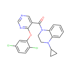 O=C(c1cncnc1Oc1cc(Cl)ccc1Cl)N1CCN(C2CC2)c2ccccc21 ZINC000095574541