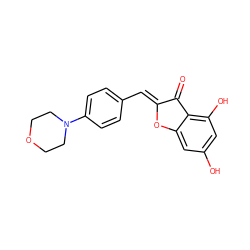 O=C1/C(=C/c2ccc(N3CCOCC3)cc2)Oc2cc(O)cc(O)c21 ZINC000072108792