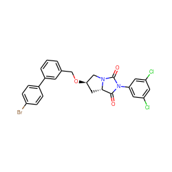 O=C1[C@@H]2C[C@@H](OCc3cccc(-c4ccc(Br)cc4)c3)CN2C(=O)N1c1cc(Cl)cc(Cl)c1 ZINC000028368983