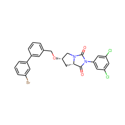 O=C1[C@@H]2C[C@H](OCc3cccc(-c4cccc(Br)c4)c3)CN2C(=O)N1c1cc(Cl)cc(Cl)c1 ZINC000028360422