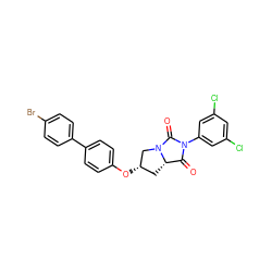 O=C1[C@@H]2C[C@H](Oc3ccc(-c4ccc(Br)cc4)cc3)CN2C(=O)N1c1cc(Cl)cc(Cl)c1 ZINC000028365408