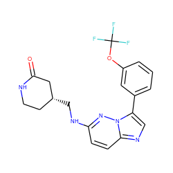 O=C1C[C@H](CNc2ccc3ncc(-c4cccc(OC(F)(F)F)c4)n3n2)CCN1 ZINC000113132471