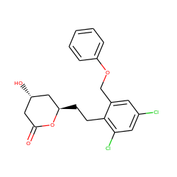 O=C1C[C@H](O)C[C@@H](CCc2c(Cl)cc(Cl)cc2COc2ccccc2)O1 ZINC000095542503