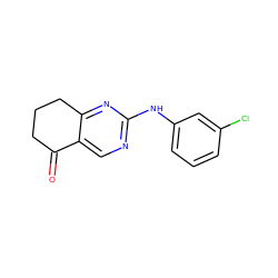 O=C1CCCc2nc(Nc3cccc(Cl)c3)ncc21 ZINC000095831240