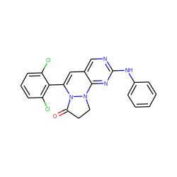 O=C1CCN2c3nc(Nc4ccccc4)ncc3C=C(c3c(Cl)cccc3Cl)N12 ZINC000036187658