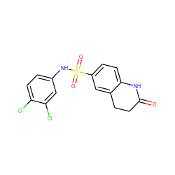 O=C1CCc2cc(S(=O)(=O)Nc3ccc(Cl)c(Cl)c3)ccc2N1 ZINC000007417269