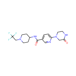 O=C1CN(c2ccc(C(=O)NC3CCN(CC(F)(F)F)CC3)cn2)CCN1 ZINC000299852557