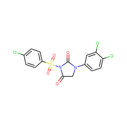 O=C1CN(c2ccc(Cl)c(Cl)c2)C(=O)N1S(=O)(=O)c1ccc(Cl)cc1 ZINC000013763630