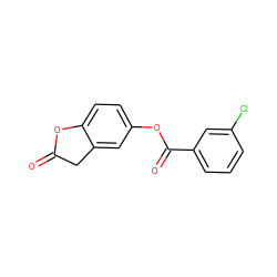 O=C1Cc2cc(OC(=O)c3cccc(Cl)c3)ccc2O1 ZINC000064409775