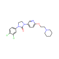 O=C1N(c2ccc(OCCN3CCCCC3)nc2)CCN1c1ccc(Cl)c(Cl)c1 ZINC000028527792