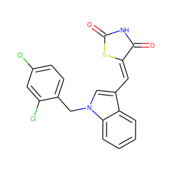 O=C1NC(=O)/C(=C/c2cn(Cc3ccc(Cl)cc3Cl)c3ccccc23)S1 ZINC000059201158