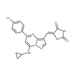 O=C1NC(=O)/C(=C/c2cnn3c(NC4CC4)cc(-c4ccc(O)cc4)nc23)N1 ZINC000117840964