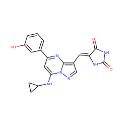 O=C1NC(=O)/C(=C/c2cnn3c(NC4CC4)cc(-c4cccc(O)c4)nc23)N1 ZINC000117825953