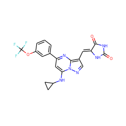 O=C1NC(=O)/C(=C/c2cnn3c(NC4CC4)cc(-c4cccc(OC(F)(F)F)c4)nc23)N1 ZINC000117826570