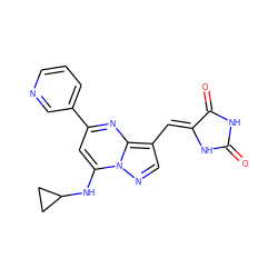 O=C1NC(=O)/C(=C/c2cnn3c(NC4CC4)cc(-c4cccnc4)nc23)N1 ZINC000117840782