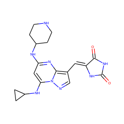 O=C1NC(=O)/C(=C/c2cnn3c(NC4CC4)cc(NC4CCNCC4)nc23)N1 ZINC000205030171