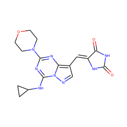 O=C1NC(=O)/C(=C/c2cnn3c(NC4CC4)nc(N4CCOCC4)nc23)N1 ZINC000205031715