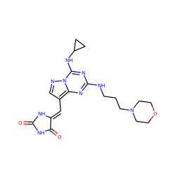 O=C1NC(=O)/C(=C/c2cnn3c(NC4CC4)nc(NCCCN4CCOCC4)nc23)N1 ZINC000205024198