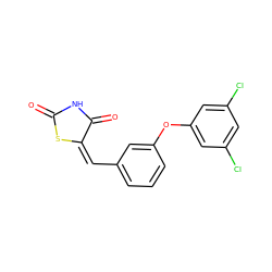 O=C1NC(=O)/C(=C\c2cccc(Oc3cc(Cl)cc(Cl)c3)c2)S1 ZINC000028703306