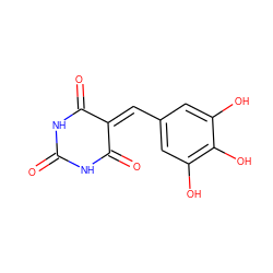 O=C1NC(=O)C(=Cc2cc(O)c(O)c(O)c2)C(=O)N1 ZINC000003611368