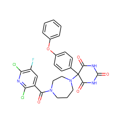 O=C1NC(=O)C(c2ccc(Oc3ccccc3)cc2)(N2CCCN(C(=O)c3cc(F)c(Cl)nc3Cl)CC2)C(=O)N1 ZINC000072107706