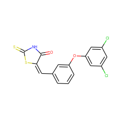 O=C1NC(=S)S/C1=C/c1cccc(Oc2cc(Cl)cc(Cl)c2)c1 ZINC000028703298