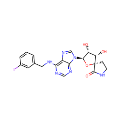 O=C1NCC[C@@]12O[C@@H](n1cnc3c(NCc4cccc(I)c4)ncnc31)[C@H](O)[C@@H]2O ZINC000027517859