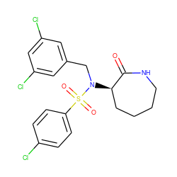 O=C1NCCCC[C@H]1N(Cc1cc(Cl)cc(Cl)c1)S(=O)(=O)c1ccc(Cl)cc1 ZINC000028957727