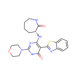 O=C1NCCCC[C@H]1Nc1nc(N2CCOCC2)[nH]c(=O)c1-c1nc2ccccc2s1 ZINC000473112142