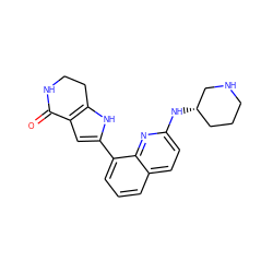 O=C1NCCc2[nH]c(-c3cccc4ccc(N[C@H]5CCCNC5)nc34)cc21 ZINC000223408570