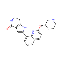 O=C1NCCc2[nH]c(-c3cccc4ccc(O[C@H]5CCCNC5)nc34)cc21 ZINC000222446359