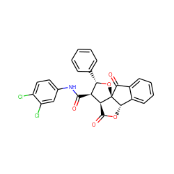 O=C1O[C@H]2c3ccccc3C(=O)[C@]23O[C@@H](c2ccccc2)[C@H](C(=O)Nc2ccc(Cl)c(Cl)c2)[C@H]13 ZINC000009132779