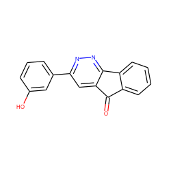 O=C1c2ccccc2-c2nnc(-c3cccc(O)c3)cc21 ZINC000001383539