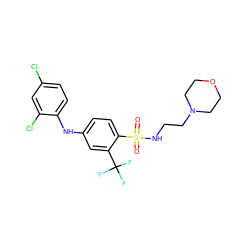 O=S(=O)(NCCN1CCOCC1)c1ccc(Nc2ccc(Cl)cc2Cl)cc1C(F)(F)F ZINC000144593098