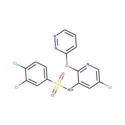 O=S(=O)(Nc1cc(Cl)cnc1Oc1cccnn1)c1ccc(Cl)c(Cl)c1 ZINC000053294106