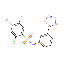 O=S(=O)(Nc1cccc(-c2nnn[nH]2)c1)c1cc(Cl)c(Cl)cc1Cl ZINC000039973403