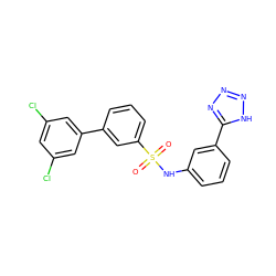 O=S(=O)(Nc1cccc(-c2nnn[nH]2)c1)c1cccc(-c2cc(Cl)cc(Cl)c2)c1 ZINC000114627857