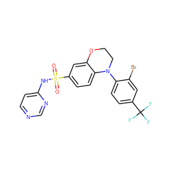 O=S(=O)(Nc1ccncn1)c1ccc2c(c1)OCCN2c1ccc(C(F)(F)F)cc1Br ZINC000220194339