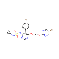 O=S(=O)(Nc1ncnc(OCCOc2ncc(Br)cn2)c1-c1ccc(Br)cc1)NC1CC1 ZINC000095555387