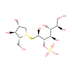 O=S(=O)(O)O[C@H]([C@H](O)C[S@+]1C[C@@H](O)[C@H](O)[C@H]1CO)[C@H](O)[C@H](O)[C@H](O)CO ZINC000049055513