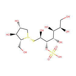 O=S(=O)(O)O[C@H]([C@H](O)C[S@@+]1C[C@@H](O)[C@H](O)[C@H]1CO)[C@@H](O)[C@@H](O)[C@H](O)CO ZINC000143072727
