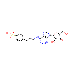 O=S(=O)(O)c1ccc(CCCNc2ncnc3c2ncn3[C@@H]2O[C@H](CO)[C@@H](O)[C@H]2O)cc1 ZINC000012405458