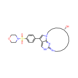 O=S(=O)(c1ccc(-c2cn3c4c2=CNC(=NCCCCCCC[C@@H](O)CCCC3)N=4)cc1)N1CCOCC1 ZINC001772656319