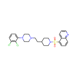 O=S(=O)(c1cccc2ncccc12)N1CCC(CCN2CCN(c3cccc(Cl)c3Cl)CC2)CC1 ZINC001772602573