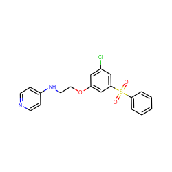 O=S(=O)(c1ccccc1)c1cc(Cl)cc(OCCNc2ccncc2)c1 ZINC000013494022