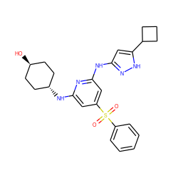 O=S(=O)(c1ccccc1)c1cc(Nc2cc(C3CCC3)[nH]n2)nc(N[C@H]2CC[C@H](O)CC2)c1 ZINC000299840926