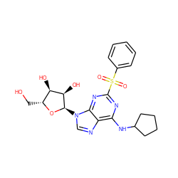 O=S(=O)(c1ccccc1)c1nc(NC2CCCC2)c2ncn([C@H]3O[C@H](CO)[C@@H](O)[C@H]3O)c2n1 ZINC000048999265